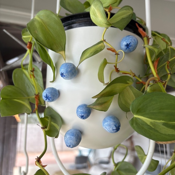 Handmade Blueberry Magents - Picture 3 of 4